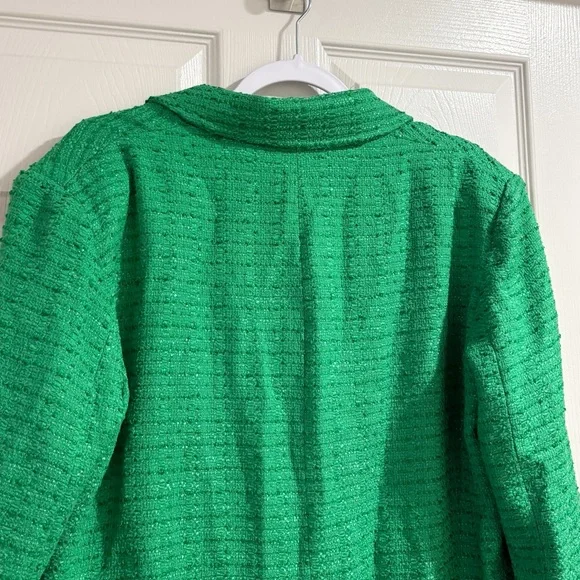 Zara Textured Double Breasted Blazer Tweed Longline Fall Boho Green Sz Large NWT - Picture 10 of 11